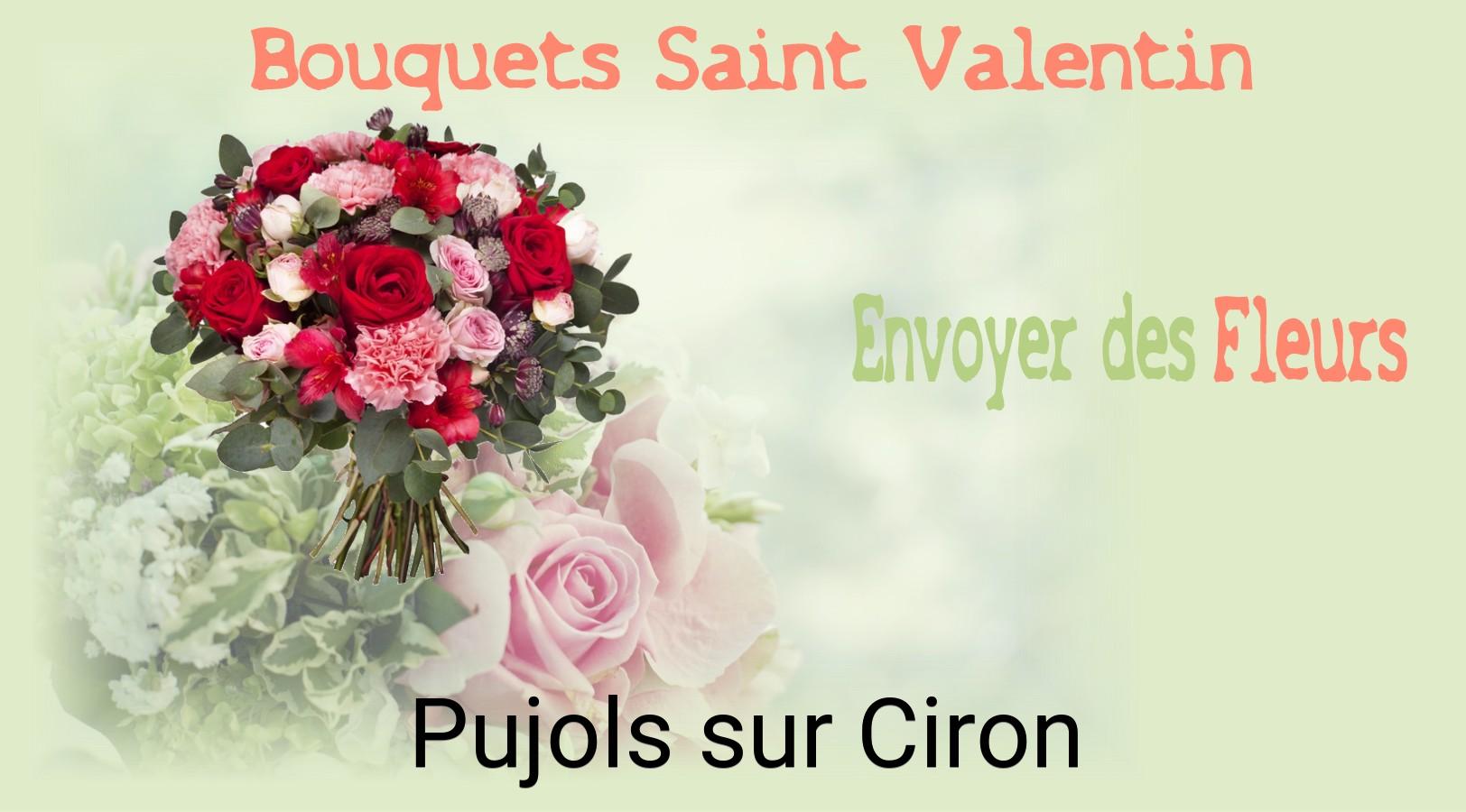 Roses de Saint-Valentin livrées à Pujols-sur-Ciron
