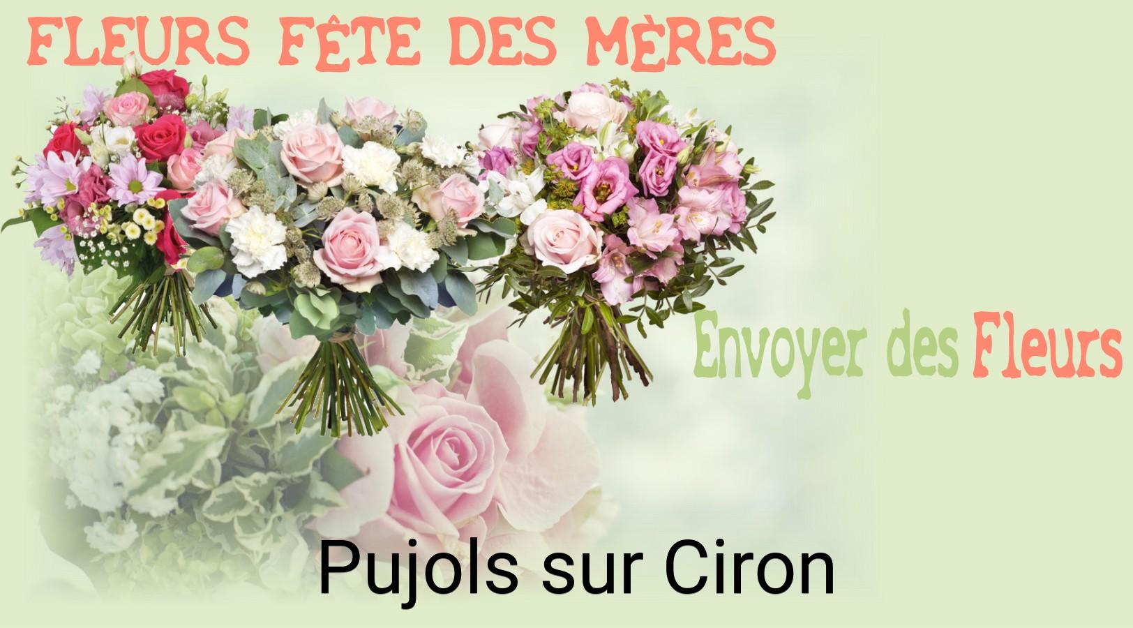 Bouquet de Fête des Mères livré à Pujols-sur-Ciron